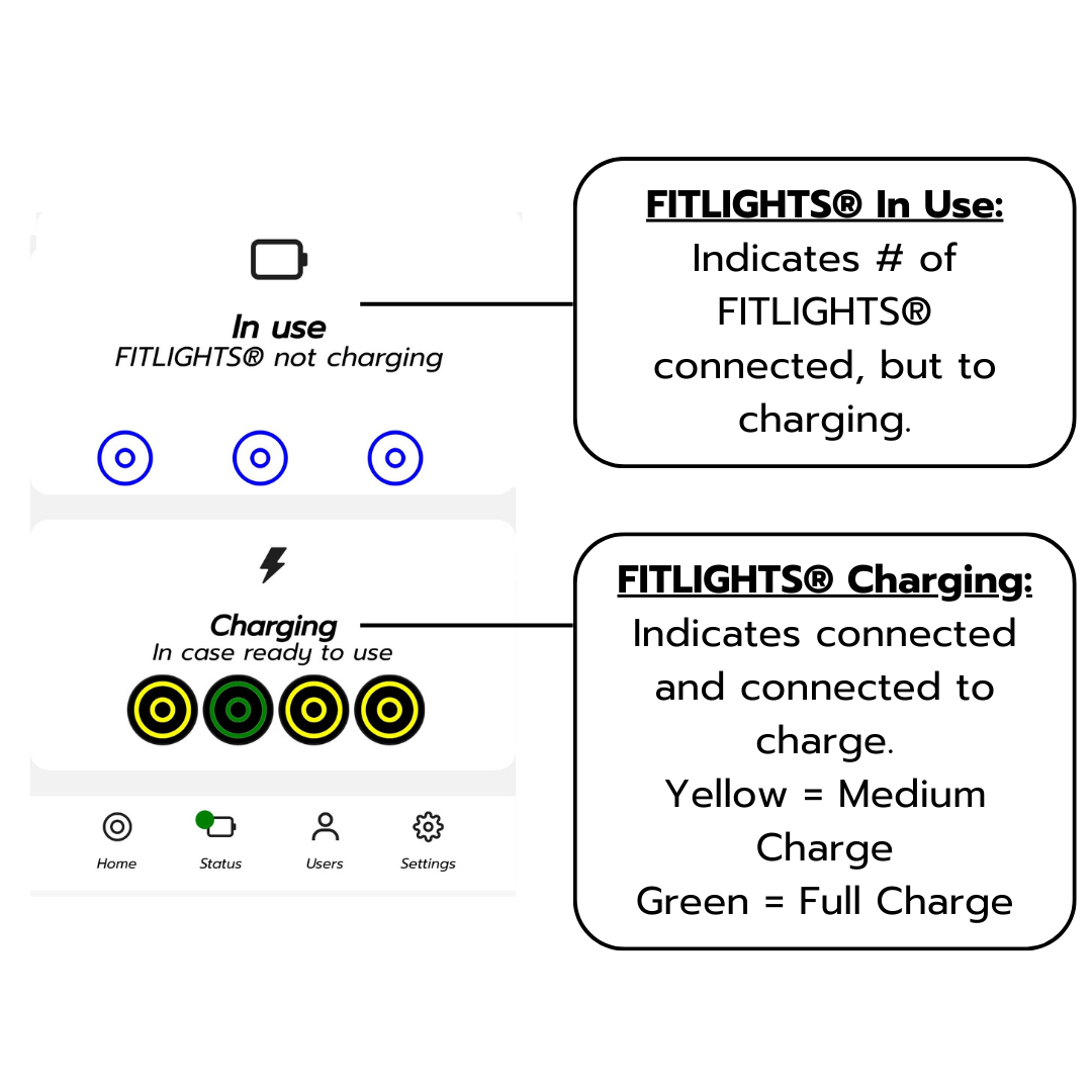 New Interface - Status menu.png